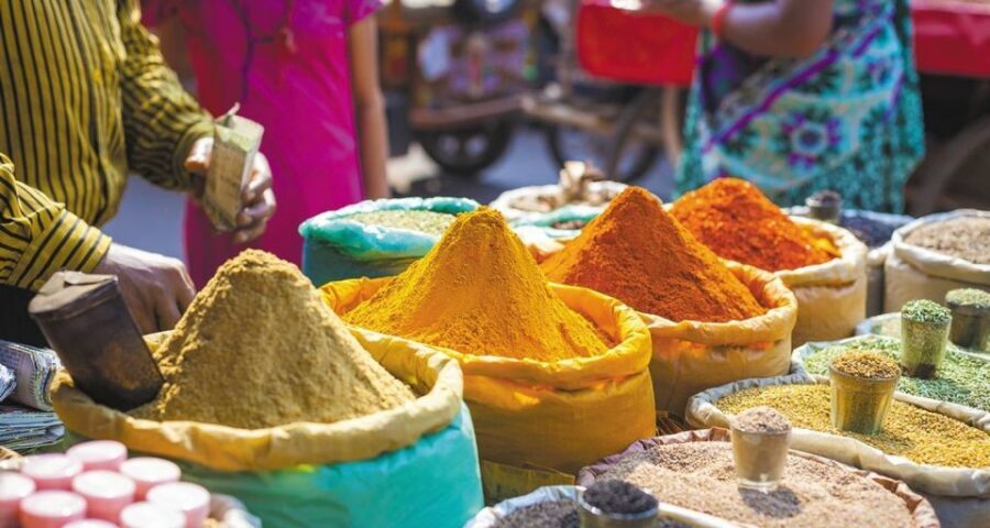 Agra: Indian Food Private Cooking Class - Who this Agra cooking class is best for