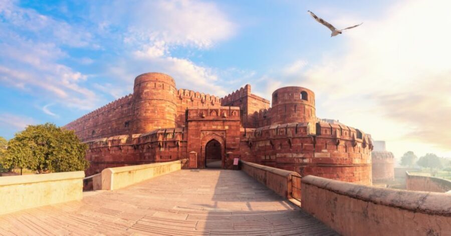 All Inclusive Private Taj Mahal Luxury Tour from Delhi - Lunch at a Local Restaurant: Fuel for the Drive Back