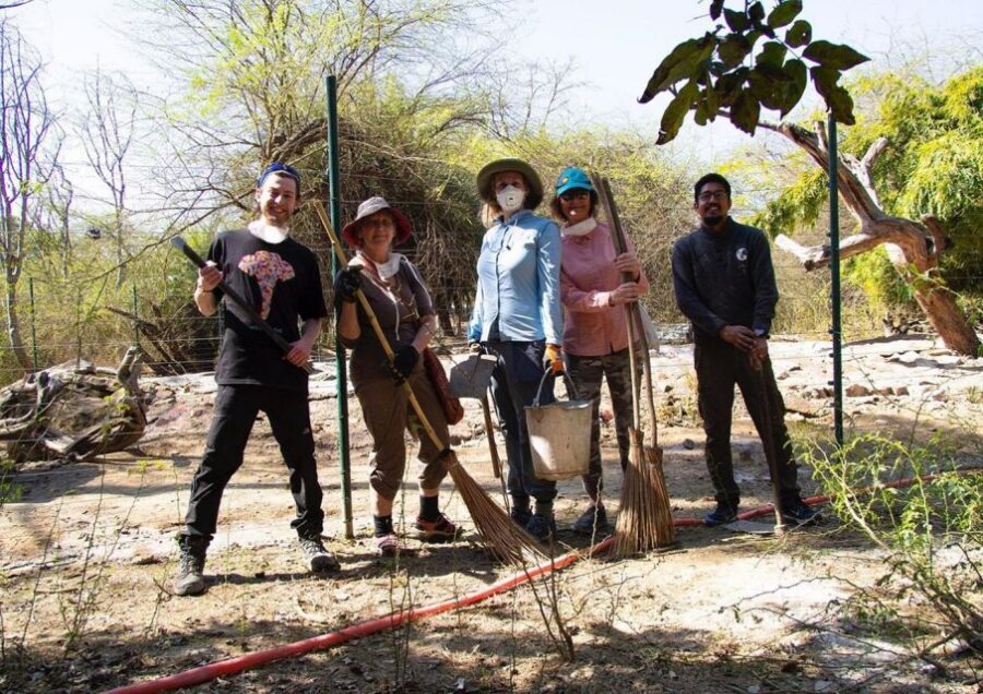 From Agra: Visit to Wildlife SOS Elephant Conservation Trip - FAQ