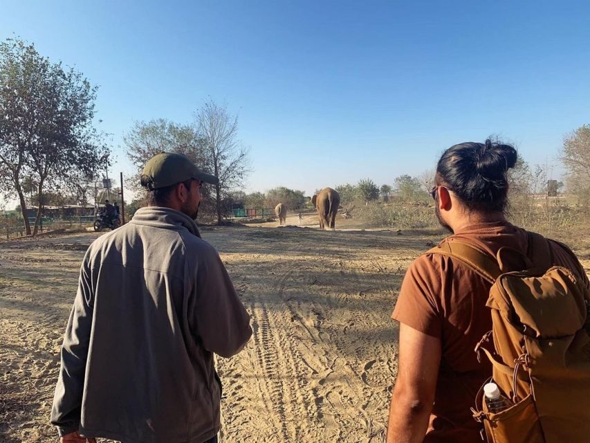 From Agra: Visit to Wildlife SOS Elephant Conservation Trip - Final verdict: should you book this Wildlife SOS trip from Agra?