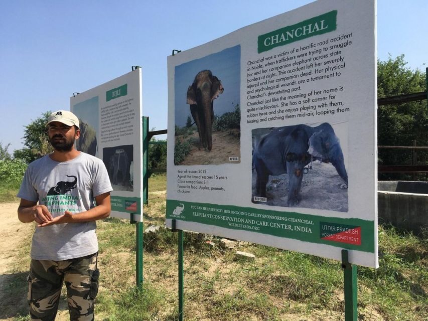 From Agra: Visit to Wildlife SOS Elephant Conservation Trip - Private pickup and the road out of Agra