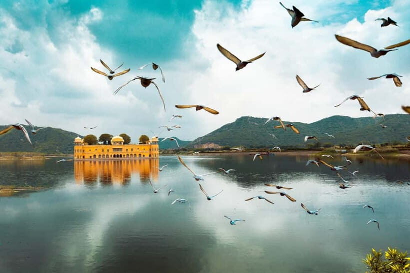 From Delhi: Private Full-Day Jaipur Highlights Tour - A full-day Jaipur plan that stays organized (not frantic)