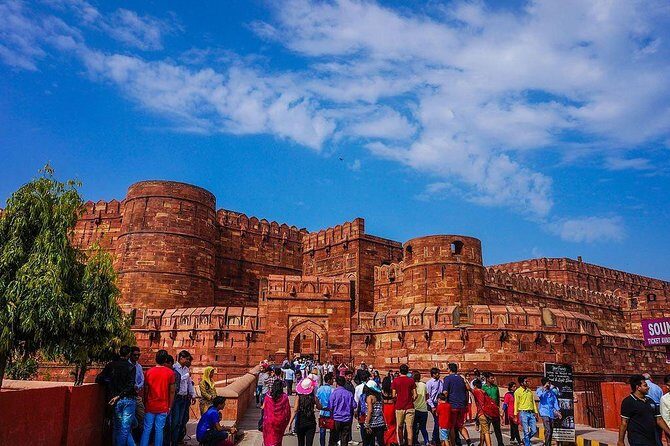 Private 3-Day Ranthambhore Tiger Tour from Agra ending in Jaipur - Who this tour suits best (and who might want to choose differently)