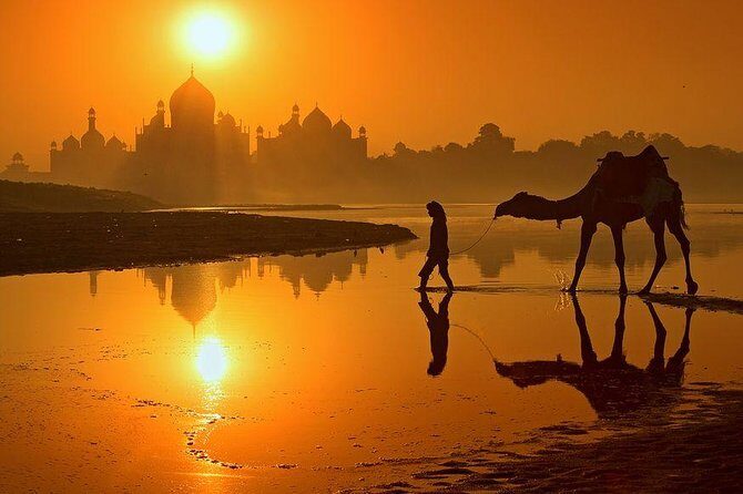Skip the Line: Half Day Sunrise Tour of Taj Mahal by TUK TUK - Schedule fit: the “half-day” timing that saves your energy