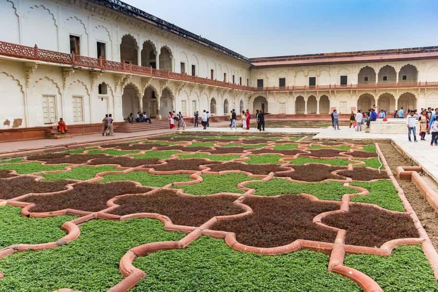 Taj Mahal Tour with Optional Wildlife Rescue Center Visit - Who this tour is best for