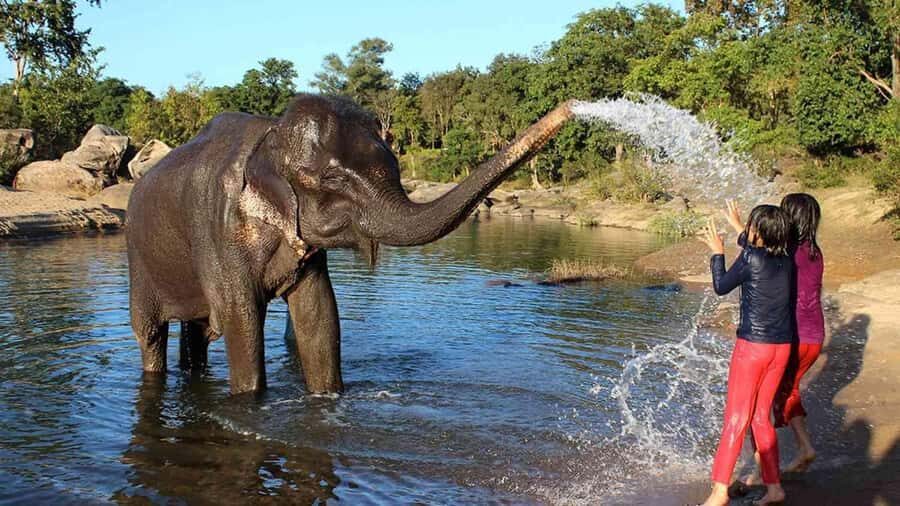 Taj Mahal Tour with Optional Wildlife Rescue Center Visit - Sunrise timing: why this Taj Mahal start is the whole point