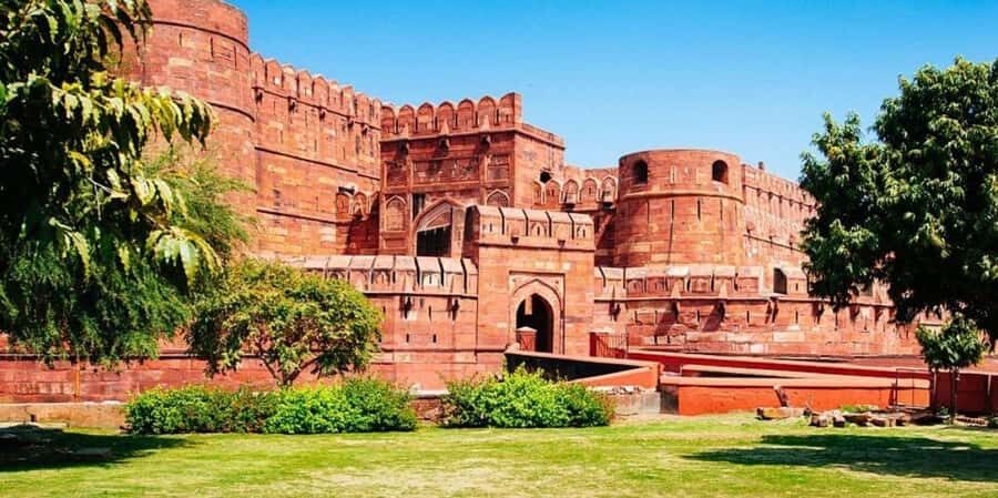 Taj Mahal Tour with Optional Wildlife Rescue Center Visit - Wildlife SOS in Agra: elephants or sloth bears, both with a purpose